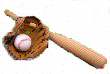 images/index.png