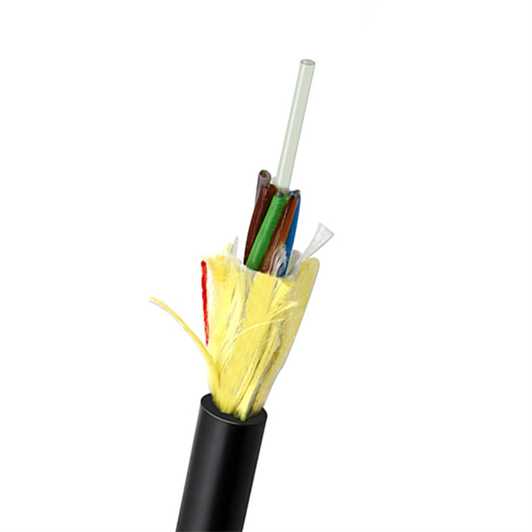 Does the network switch have fiber optic cable 